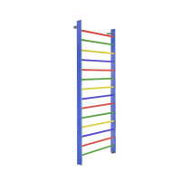 Стенка гимнастическая 300х100 (массив.сосна), цветная Dinamika ZSO-000066