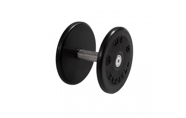 Гантель классик с вращающейся ручкой хром 6 кг MB Barbell MB-FdbEM-B6 600_380