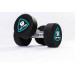 Гантели в уретане 1 кг Live Pro Studio Dumbbells LP8075-01 75_75