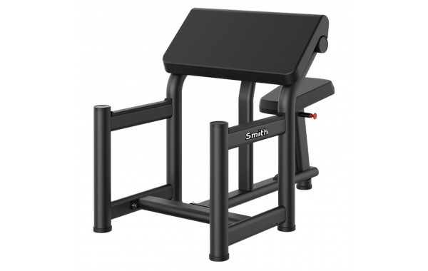 Скамья Скотта (парта для бицепса) Smith Fitness RE6020 600_380